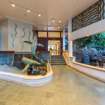 @ Marbella Lane - Oceanview Suite Steps To Beach Honolulu Buitenkant foto